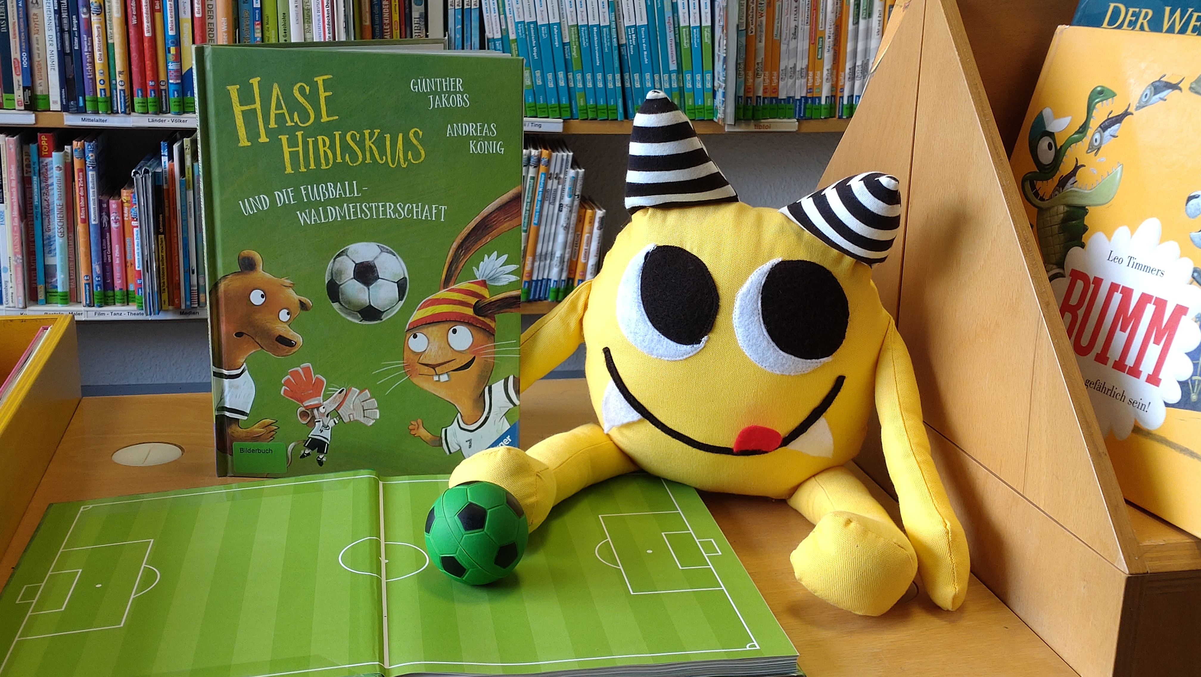 Bei der nächsten Vorlesestunde in der Stadtbücherei Boppard für Kinder ab drei Jahren dreht sich bei „Hase Hibiskus und die Fußball-Waldmeisterschaft“ alles um das runde Leder. 