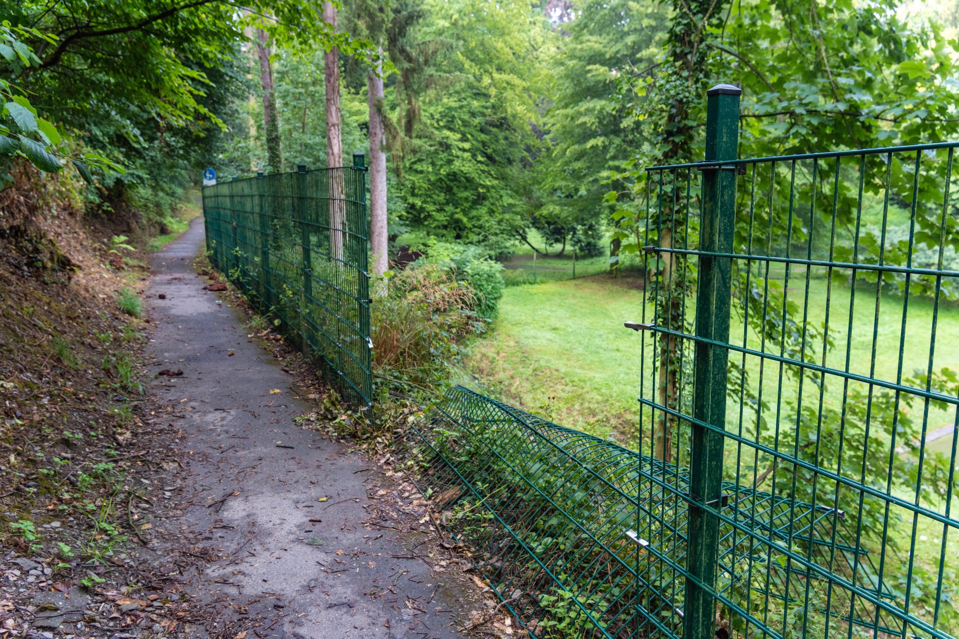 Vor Kurzem ist bereits ein Baum aus der Hanglage auf den Fußweg gestürzt und hat den Zaun an der Realschule Marienberg beschädigt. 