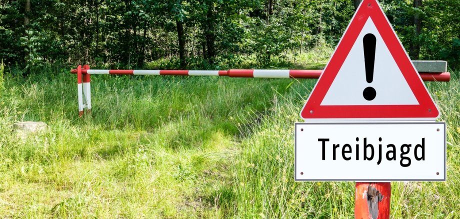 An den kommenden Wochenenden werden in den Bopparder Jagdrevieren Drückjagden abgehalten, die auch Auswirkungen auf die Wanderwege haben. An den kommenden Wochenenden werden in den Bopparder Jagdrevieren Drückjagden abgehalten, die auch Auswirkungen auf die Wanderwege haben.