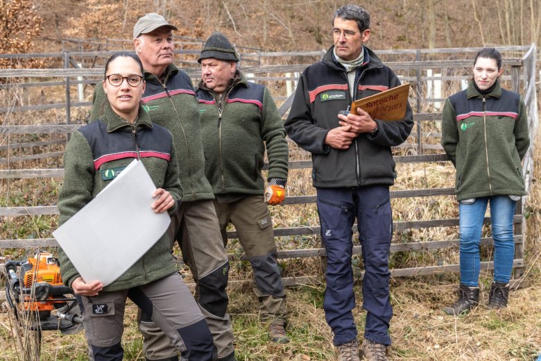 Das Team vom Forstamt Boppard hatte die Setzlinge mitgebracht und hielt viele Informationen zum Baum des Jahres, der Roteiche, bereit. 