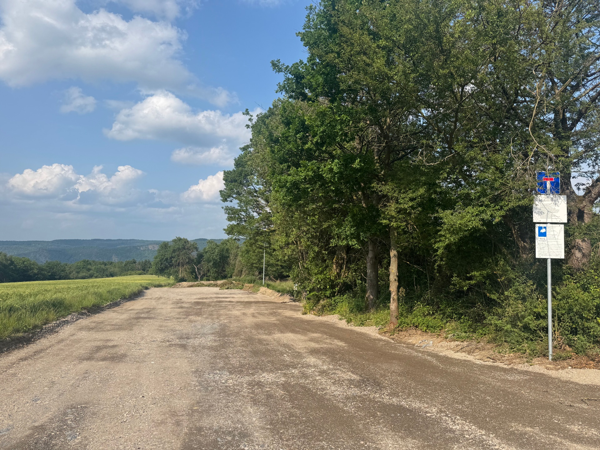 Der Grünschnittplatz in Weiler ist ab sofort wieder geöffnet. Der städtische Bauhof hatte zuvor die Fläche wieder instand gesetzt. 