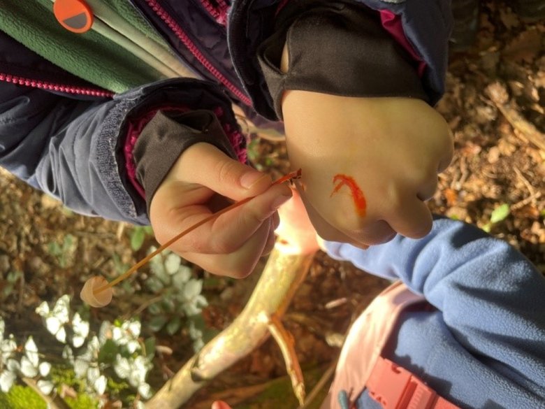 Der orange milchige Helmling blieb den Kindern bestens als Schminkpilz in Erinnerung. 