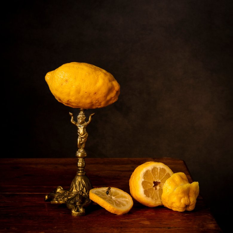 Das Stillleben „When Life gives you Lemons“ der Künstlerin Elizabeth Joan Clarke ist Teil der Ausstellung „The Last Days of Magic“ im Museum Boppard, die am 18. Januar 2025 eröffnet wird.
