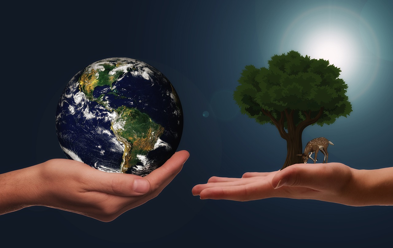 Symbolfoto die Erde auf einer Hand und ein Baum auf der anderen Hand