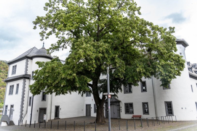 Standesamtliche Trauungen in der Kurfürstlichen Burg in Boppard: Schließen Sie den Bund fürs Leben vor einer einmaligen Kulisse.