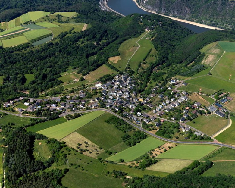 Holzfeld