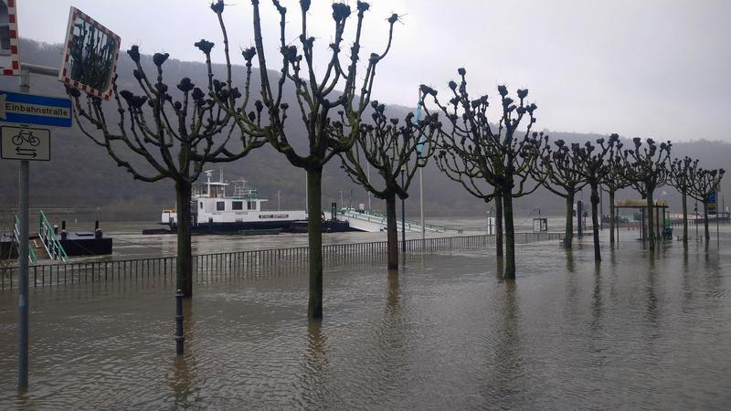 Hochwasser Boppard Hochwasser Boppard